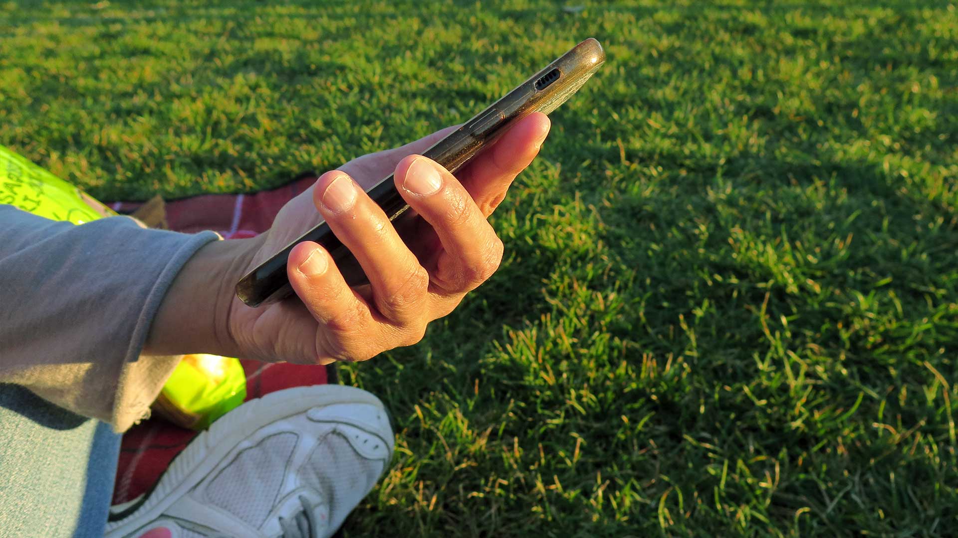 cost-effective grass court maintenance