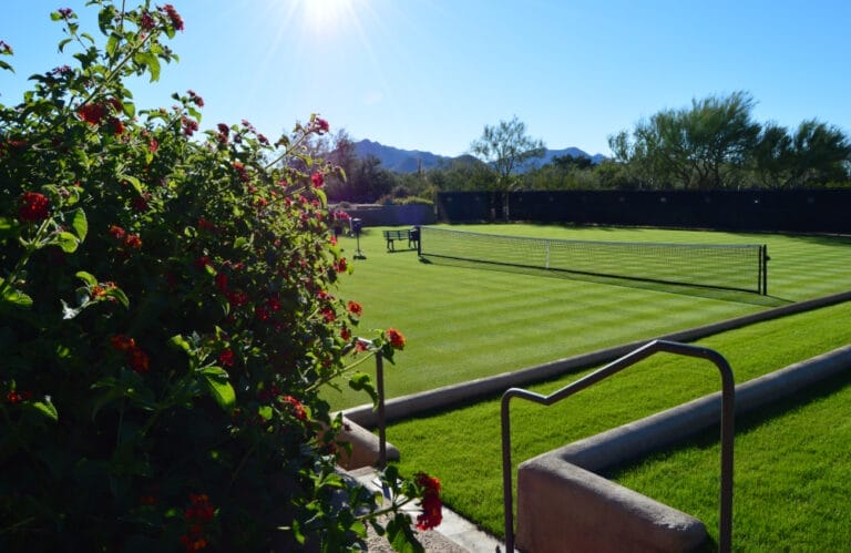 Archive deserthlands usa 768x499