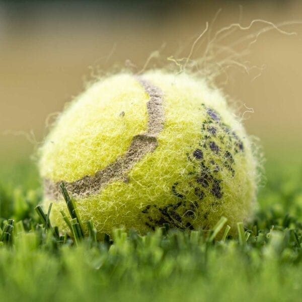 Grass Tennis Court Turf