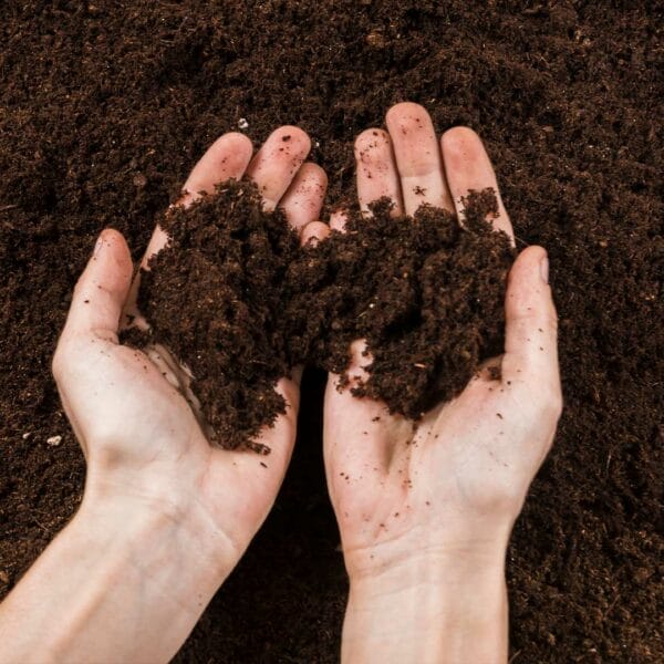 Popular Articles Surrey Soil Loam
