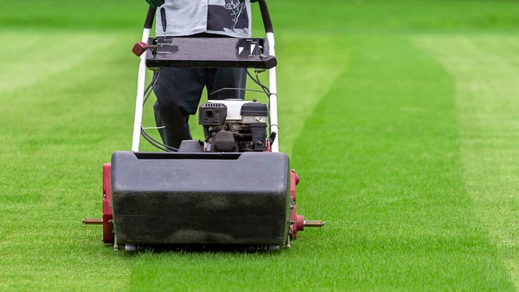Mowers For Grass Tennis 1024x576