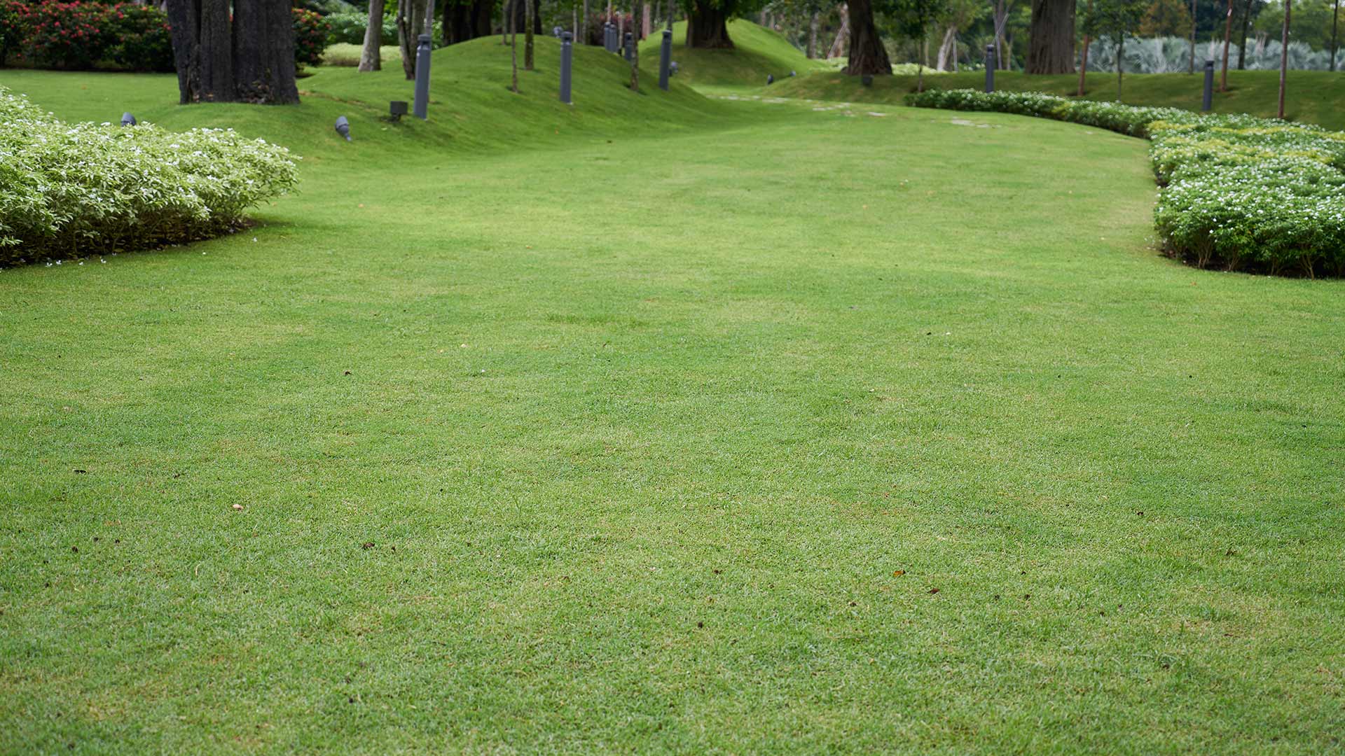 Can a grass tennis court be built on uneven terrain?