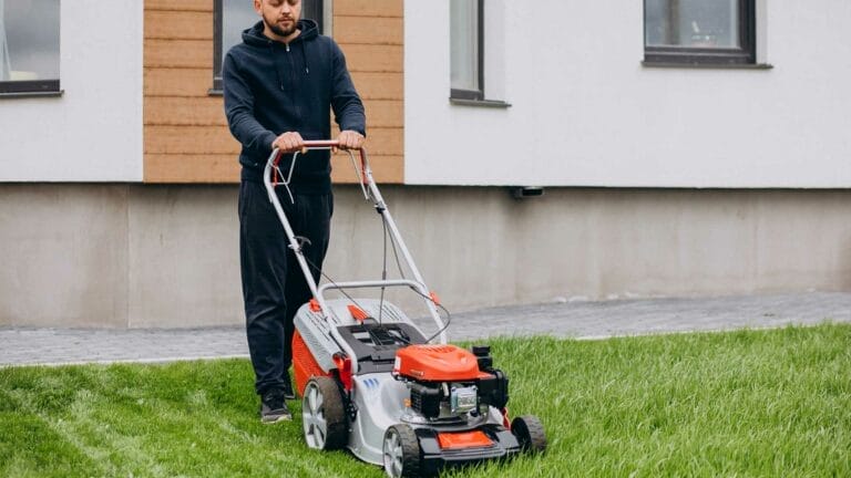 Guide to Grass Court Maintenance