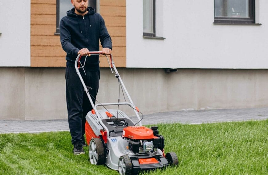 Guide to Grass Court Maintenance