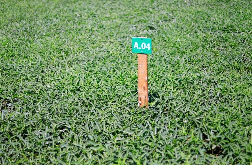 grass height impact
