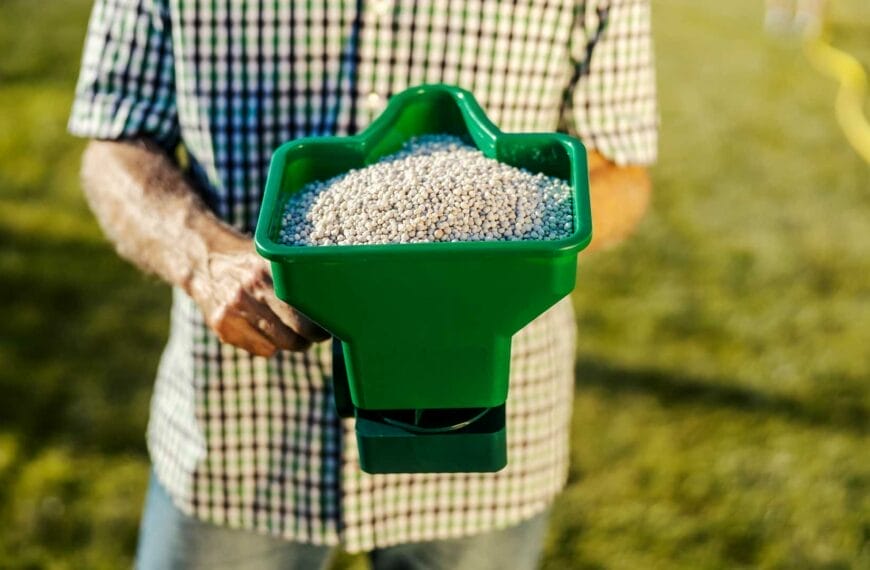 Environmental Impact of grass court fertilisers