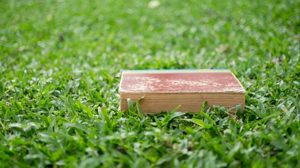 Grass Layer Thickness on Lawn Tennis Courts
