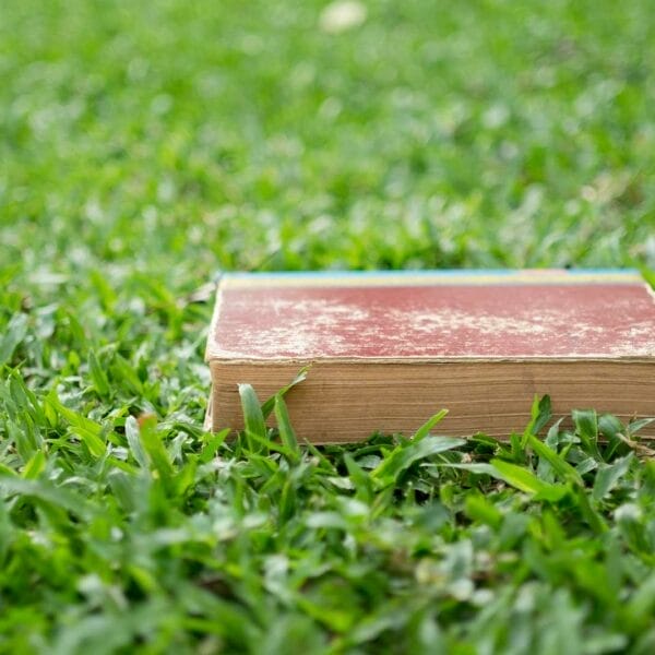 Grass Layer Thickness on Lawn Tennis Courts