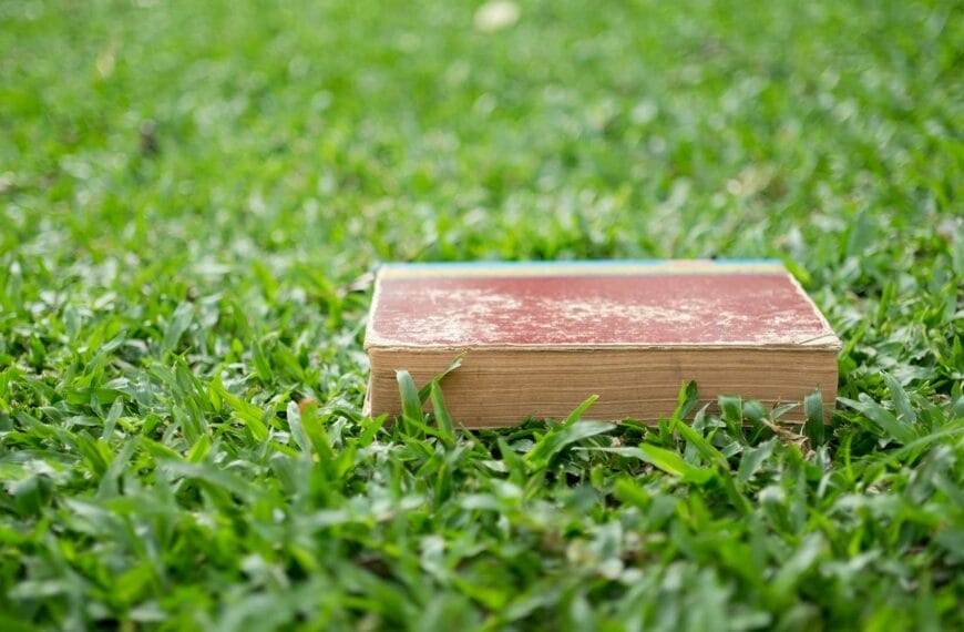 Grass Layer Thickness on Lawn Tennis Courts