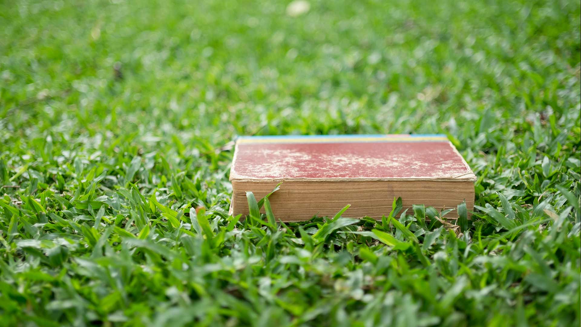 Grass Layer Thickness on Lawn Tennis Courts