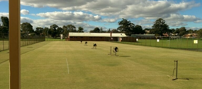 Nollamara Tennis Club Nollamura LTC WA 768x341