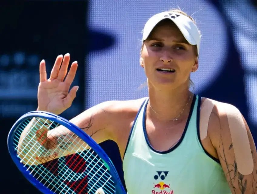 [aggregator] downloaded image for imported item #5996